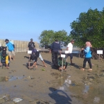 KPMM bersama Mahasiswa UIM Pamekasan melakukan penanaman ratusan bibit mangrove di Pantai Talang Siring.