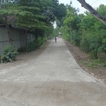Akses jalan yang berada di RT 7, Desa Gandul, Kabupaten Madiun, setelah dipavingisasi oleh pemdes setempat. 