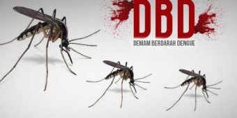 Kasus DBD di Pasuruan Menurun Dibanding Tahun Lalu