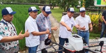 Petrokmia Gresik Sukses Uji Coba Pemupukan Tanaman Padi dengan Drone