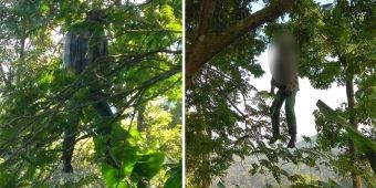 Seminggu Hilang, Warga Jember Ini Ditemukan Gantung Diri di Hutan