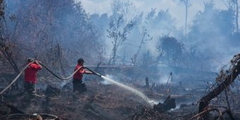 3 Wilayah Paling Parah Terpapar Kabut Asap, Ada Pekanbaru