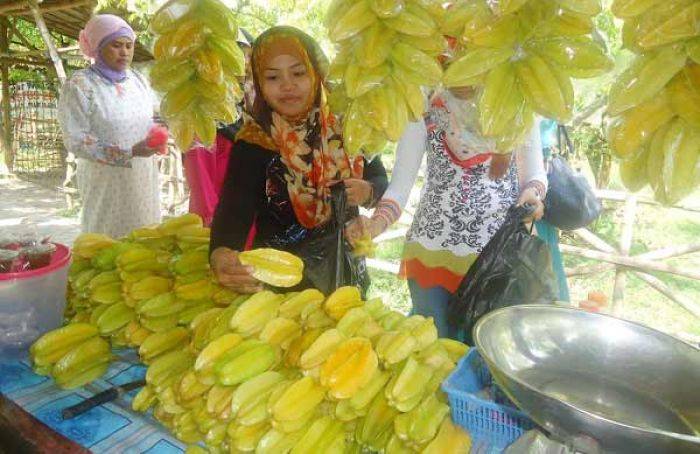 Agrowisata Belimbing Ngringinrejo Bojonegoro, Makin Ramai Saat Ramadan