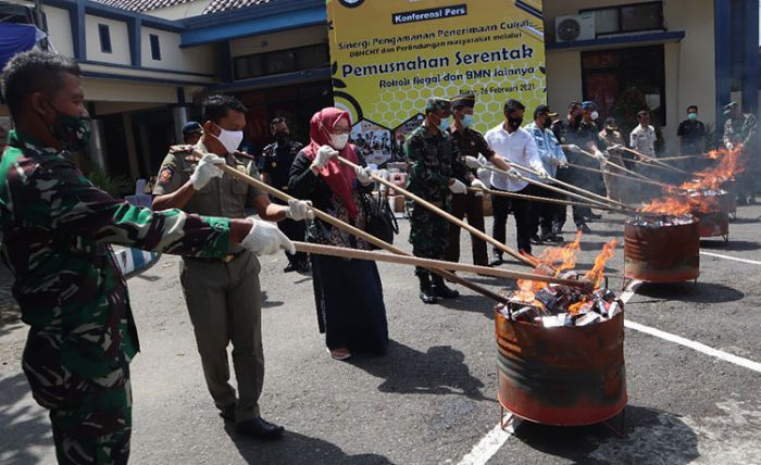 ​Bea Cukai Blitar Musnahkan 100 Ribu Batang Lebih Rokok Ilegal