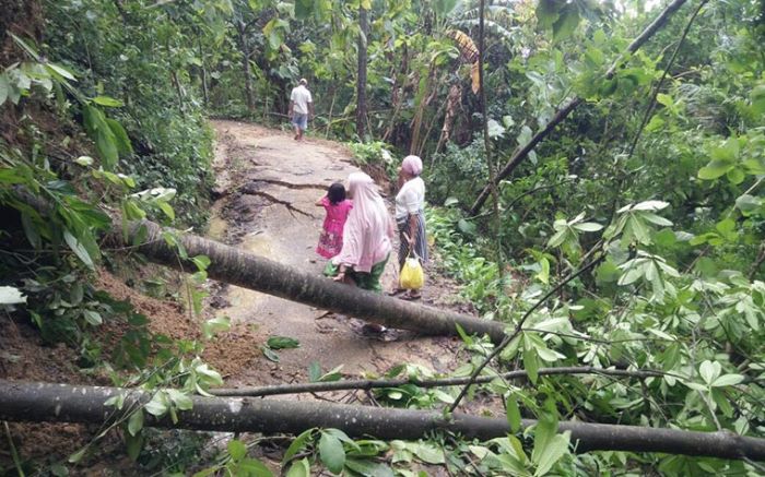 Musim Pancaroba, Masyarakat Diminta Waspada Cuaca Ekstrem dan Dampaknya