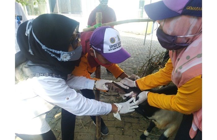 Jelang Hari Raya Kurban, Pemkab Lamongan Sidak Pasar Hewan Sidoharjo