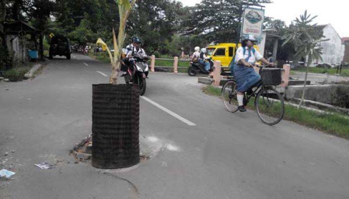 Minta Tumbal 3 Nyawa dan Dibiarkan Rusak, Warga Meri Tanam Pohon Pisang di Jalan