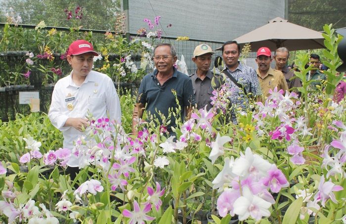 Songsong Pembanguan LWS, Bupati Nganjuk Tinjau Kawasan Agrowisata