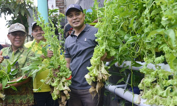 Simorejo, Kampung Hidroponik Pertama di Surabaya