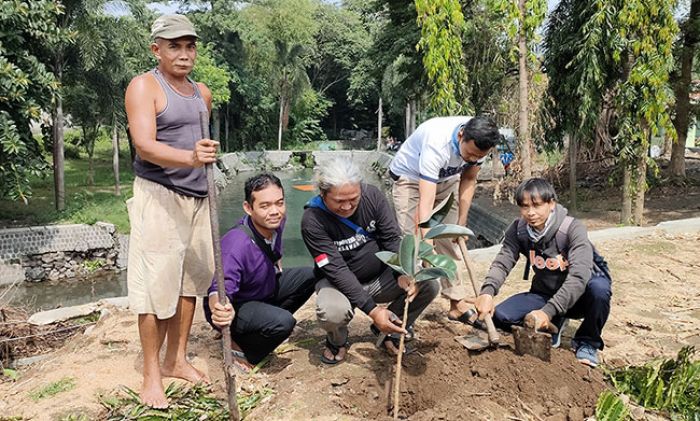 Gantikan Pohon yang Tumbang, EPPI Kediri Tanam Karet Kebo Merah di Sumber Kweden