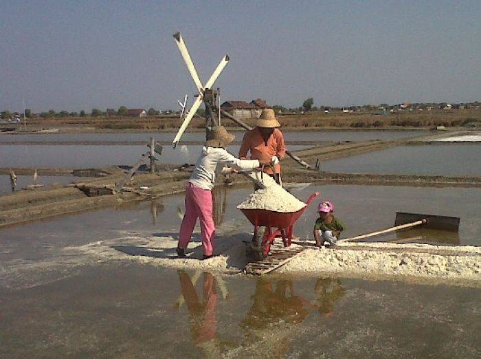 Kemarau Ekstrim Genjot Pendapatan Buruh Tani Garam 