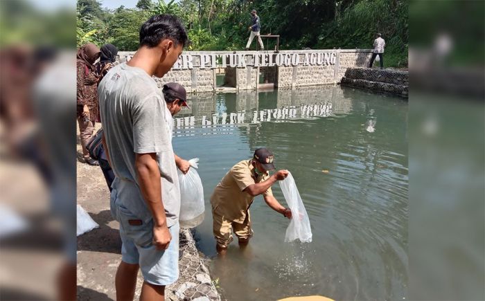 Jaga Ketahanan Pangan, Pemkab Kediri Lakukan Restocking Ikan