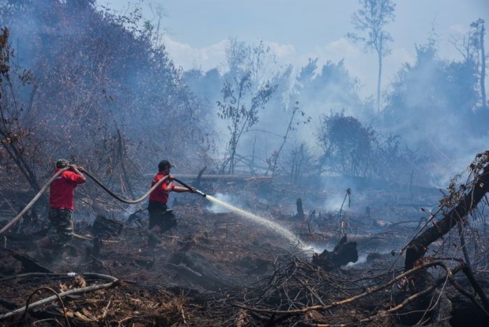 3 Wilayah Paling Parah Terpapar Kabut Asap, Ada Pekanbaru