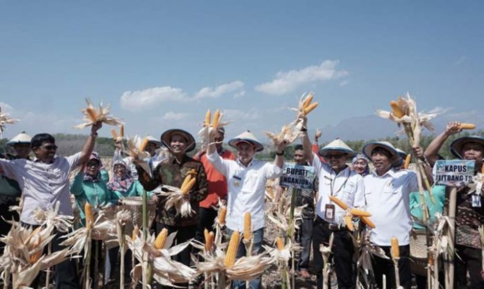 Dirjen Pertanian Bantu Sumur Tanah Bagi Petani di Nganjuk