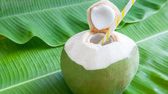 Amankah Minum Air Kelapa Setiap Hari? Ini Faktanya