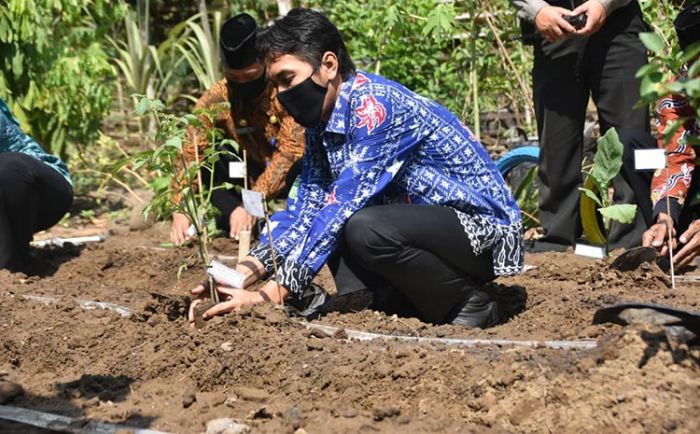 Ciptakan Ketahanan Pangan, Pemkab Madiun Salurkan Bibit Sayur-mayur​