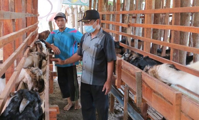 ​BUMDes Karya Makmur Madiun Gandeng Pemuda Kembangkan Ternak Modern