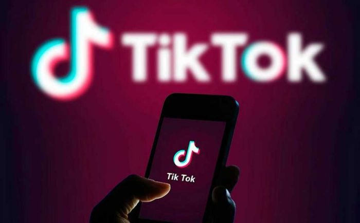 Bagaimana Cara Menonton TikTok Tanpa Mengunduh Aplikasi?