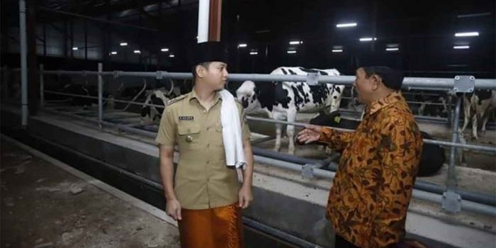 Bupati Trenggalek, Mochamad Nur Arifin, saat menerima investor sapi perah di Desa Boto Putih, Kecamatan Bendungan.