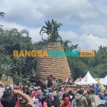 Ratusan warga saat berebut buah nanas. Foto: MUJI HARJITA/BANGSAONLINE