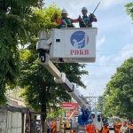 Bupati Jember Hendy Siswanto (kiri) naik mobil skylift saat gerpas pohon.