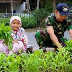 Salah satu Prajurit Lantamal VI sedang sibuk memanen tanaman sayurnya di pekarangan rumah.