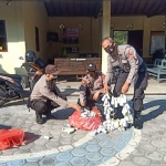 Inilah petasan yang diamankan petugas Polres Blitar, Kamis (13/5/2021). foto: ist.