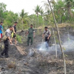 Kondisi kebun sengon yang ludes terbakar.