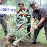 Bupati Pungkasiadi ketika mengawali gerakan menanam pohon.