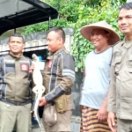 Petugas Satpol PP Kota Kediri menunjukkan biawak yang berhasil ditangkap dari rumah seorang warga.