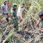 TKP terbakarnya korban di ladang tebu.