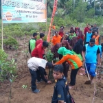 Aksi penanaman mangrove oleh siswa dan siswi MTsN 1 Trenggalek. foto: HERMAN/ BANGSAONLINE