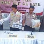 Polisi menunjukkan barang bukti kulit sapi ilegal asal Italia.