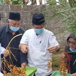 K.H. Mustain Anshori, Pengasuh Pondok Pesantren Pari Ulu, Desa Sumbercangkring, Kecamatan Gurah, Kabupaten Kediri saat memanen buah kurma jenis deglet noor. (foto: MUJI HARJITA/ BANGSAONLINE)