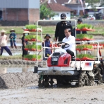 Presiden Jokowi saat tanam padi di Desa Buluagung Kecamatan Karangan, Kabupaten Trenggalek. foto: HERMAN/ BANGSAONLINE