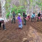 Babinsa Pakandangan Barat bersama Danramil Bluto, Kapten Inf Darminto saat melakukan tanam bibit jagung hibrida P21.