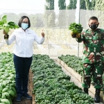 Direktur Operasi dan Produksi Petrokimia Gresik, Digna Jatiningsih bersama Inspektur Kodam (Irdam) V/Brawijaya, Brigjen TNI Arie Subekti menunjukkan hasil sayur-sayuran yang ditanam di buncob Petrokimia. foto: SYUHUD/BANGSAONLINE