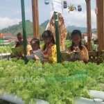 Siswa SDN 1 Surodakan saat mempelajari di tanaman hidroponik di kawasan Pertanian Terpadu Trenggalek Agropark. foto: HERMAN/ BANGSAONLINE