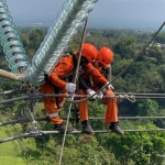 Petugas PLN sedang melakukan perbaikan konduktor (kabel) SUTET 500 kV pada jaringan transmisi.