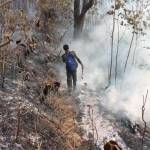 BERASAP: Kondisi hutan Gunung Lawu yang masih tampak mengeluarkan asap, Senin (19/10) siang. Foto: zainal abidin/BANGSAONLINE