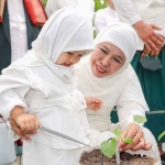 Gubernur Khofifah bersama cucunya, Aila, saat menanam bibit golden melon varietas Alisha F1 di Green House Masjid Al Akbar Surabaya.