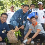 Bupati Gresik Sambari saat menanam coklat di Desa Petiyen Tunggal, Kecamatan Dukun. foto: SYUHUD/ BANGSAONLINE