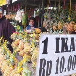 Nanas asli Gunung Kelud yang dijual oleh warga sekitar (dok. RRI)