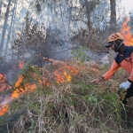 Tim gabungan yang dikerahkan untuk melakukan pemadaman api di lereng Gunung Panderman dengan cara manual hingga pembuatan sekat bakar.