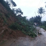 Ilustrasi: Sejumlah ruas jalan Arjosari-Nawangan yang masih tertimbun longsor. Foto: IST 