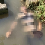 Mayat berjenis kelamin laki-laki ditemukan warga di parit Desa Terik, Kecamatan Krian, Sidoarjo, Minggu (21/5/2023).