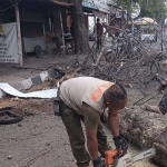 Evakuasi pohon kesono yang tumbang di Jalan Jayanegara, Kabupaten Mojokerto oleh tim gabungan (dok. BPBD Kab Mojokerto)