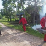 Pengasapan (fogging) setelah ada korban jiwa.