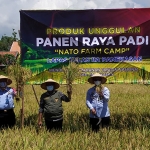 Suasana saat panen raya padi yang digelar Lapas Kelas IIA Pamekasan.