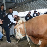 Gubernur Khofifah saat melakukan peninjauan di RPH Kota Malang.